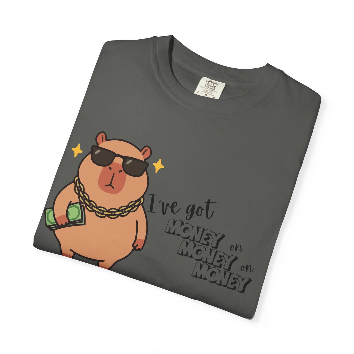 Capybara T-Shirt — "I’ve Got Money" Cute Graphic T-Shirt